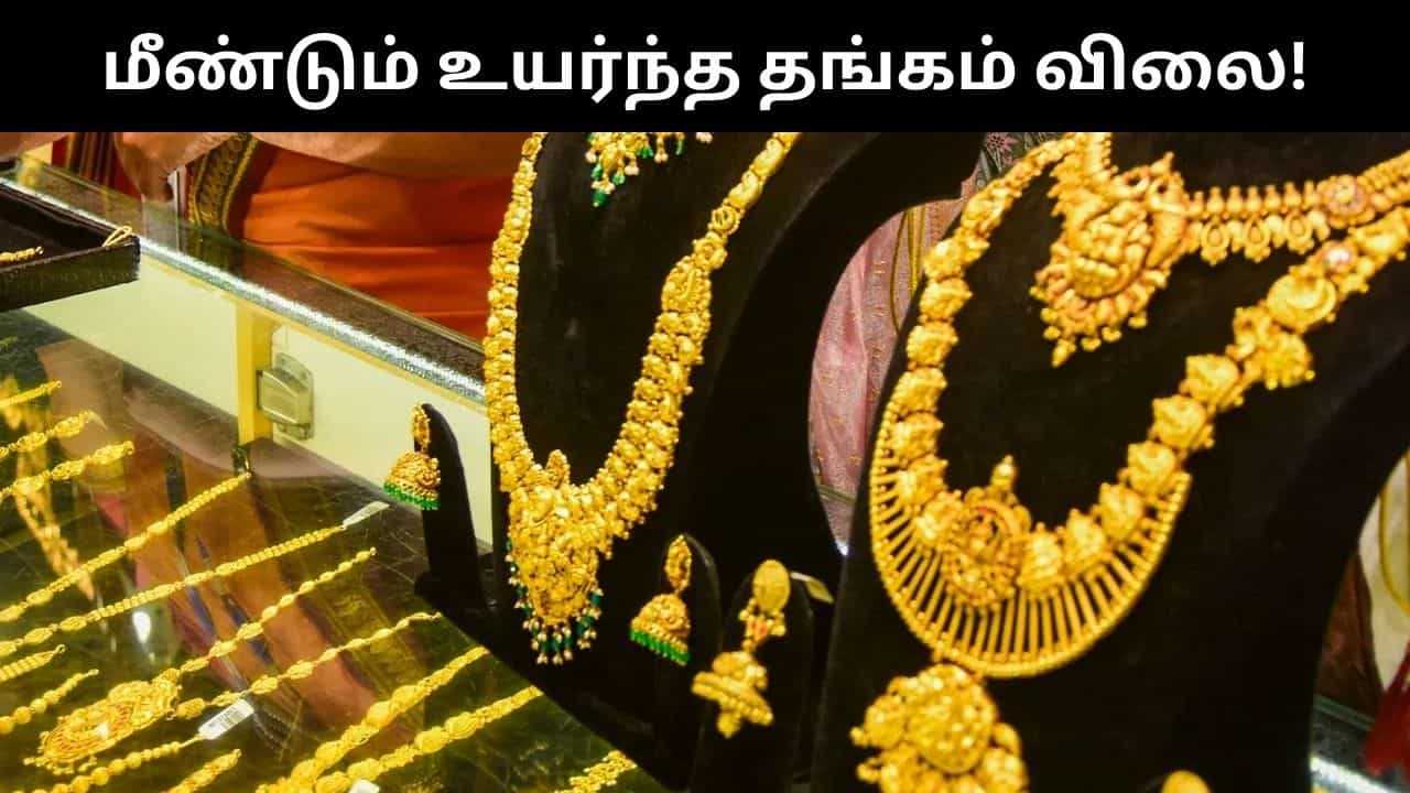 Gold Price : 2 நாட்களுக்கு பிறகு மீண்டும் உயர்ந்த தங்கம் விலை.. இன்றைய நிலவரம் என்ன?