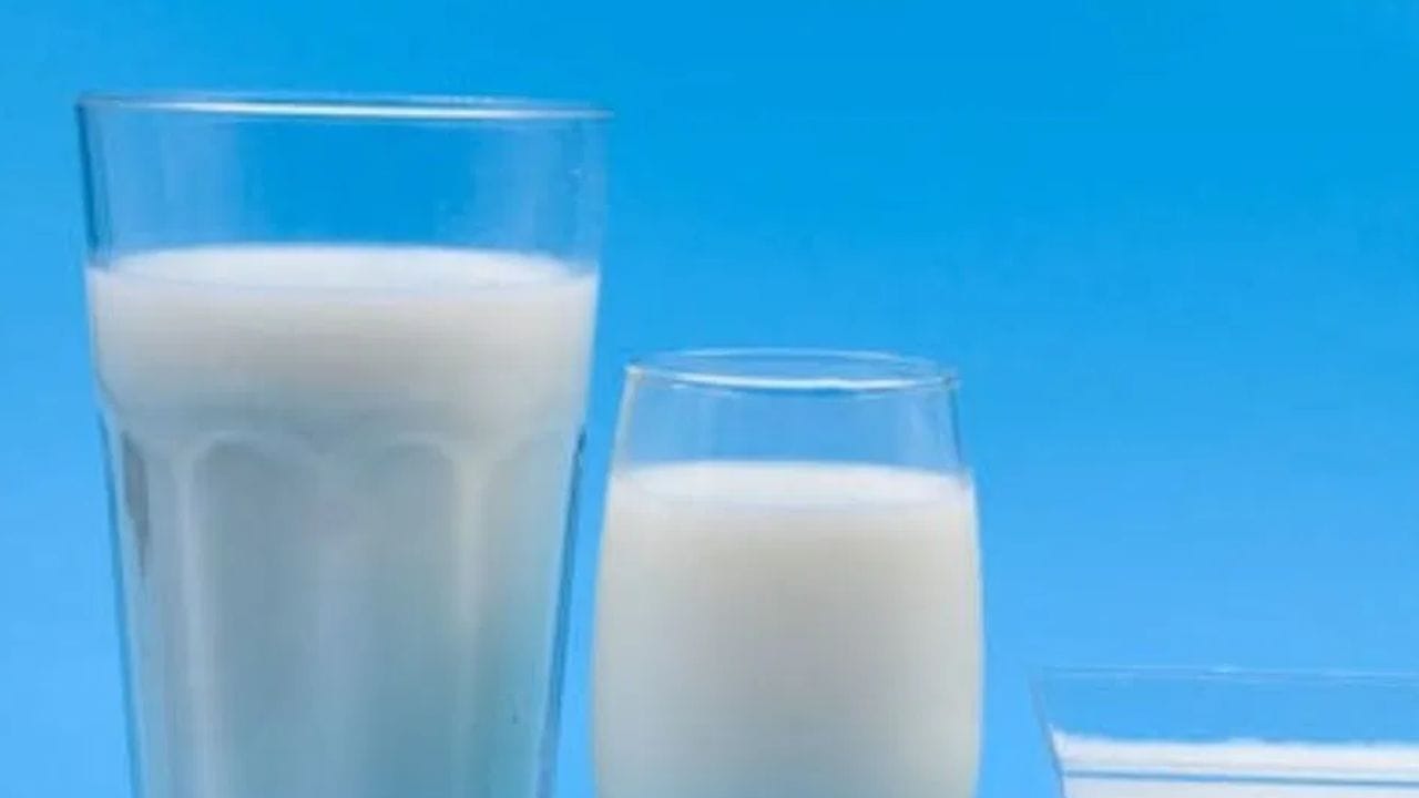 செறிவூட்டப்பட்ட பால் : சைவ உணவு உண்பவர்கள் சில ஊட்டச்சத்துக்களை நிரப்ப தங்கள் உணவில் செறிவூட்டப்பட்ட உணவுகளைச் சேர்க்க வேண்டும், ஏனெனில் இந்த உணவுகள் கால்சியம் குறைபாடுகளை நிரப்ப உதவுவது மட்டுமல்லாமல், வைட்டமின் பி12 மற்றும் வைட்டமின் டி போன்ற அத்தியாவசிய ஊட்டச்சத்துக்களையும் நிரப்ப உதவுகின்றன. உங்களுக்கு வேறு வழியில்லை மற்றும் நேரம் குறைவாக இருக்கும்போது, ​​காலையில் செறிவூட்டப்பட்ட பால் குடிப்பது நல்லது.