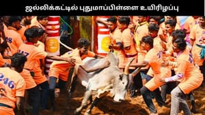 திண்டுக்கல் ஜல்லிக்கட்டு: காளை முட்டி புது மாப்பிள்ளை உயிரிழப்பு – சோகத்தை ஏற்படுத்திய சம்பவம்