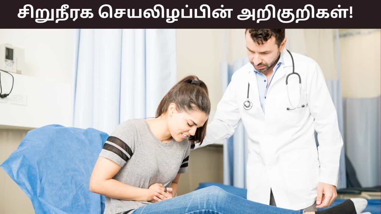 Health Tips: தினமும் இரவில் உடலில் இந்த அறிகுறிகளா? இது சிறுநீரக செயலிழப்பு!