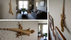 பல்லி சகுனங்கள்: வீட்டில் பல்லி மீண்டும் மீண்டும் வந்தால் என்ன அர்த்தம்?...