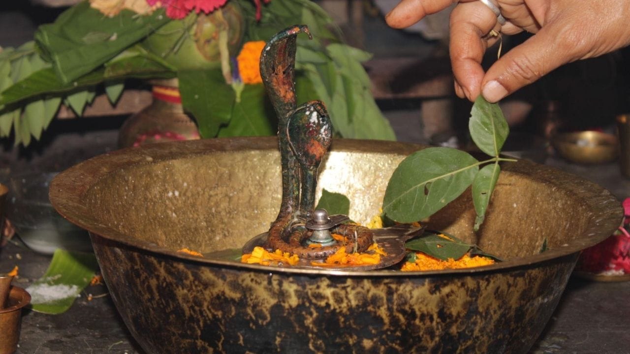 சிவனுக்கு மிகவும் பிடித்த பூஜை பொருள் விள்வ இலை. தங்கம், வைரம் போன்ற ஆடம்பரங்களை விட அன்புடன் சமர்ப்பிக்கும் ஒரு கைப்படி விள்வ இலை அதிகம் மகிழ்விக்கிறது. மாலை நேரத்தில் அருகிலுள்ள சிவன் கோயிலுக்கு சென்று தரிசனம் செய்வது சிறப்பு. செல்ல முடியாத சூழ்நிலையில் வீட்டிலேயே சிவலிங்கத்திற்கு அல்லது சிவபடத்திற்கு பால், தேன் அல்லது சுத்தமான தண்ணீரால் அபிஷேகம் செய்யலாம். சிவபெருமான் “அபிஷேக பிரியர்” என்று அழைக்கப்படுகிறார். பக்தியுடன் ஊற்றப்படும் ஒரு சொட்டு தண்ணீரையே அவர் ஏற்றுக் கொள்கிறார்.