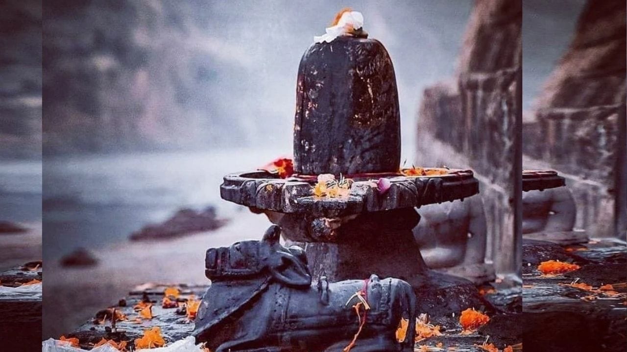 மகா சிவராத்திரி என்பது சாதாரண திருவிழா அல்ல. இது சிவபெருமானும் பார்வதி தேவியும் இணைந்த தினம். ஆன்ம சுத்தி மற்றும் தவ வாழ்க்கைக்கு ஏற்ற நாள். இரவு முழுவதும் ஜாகரணம் இருந்து சிவனை தியானிக்கும் நாள். இந்த நாளில் பக்தர்கள்:உபவாசம் இருப்பார்கள், சிவலிங்கத்திற்கு அபிஷேகம் செய்வார்கள், “ஓம் நமசிவாய” மந்திரத்தை ஜபிப்பார்கள்.