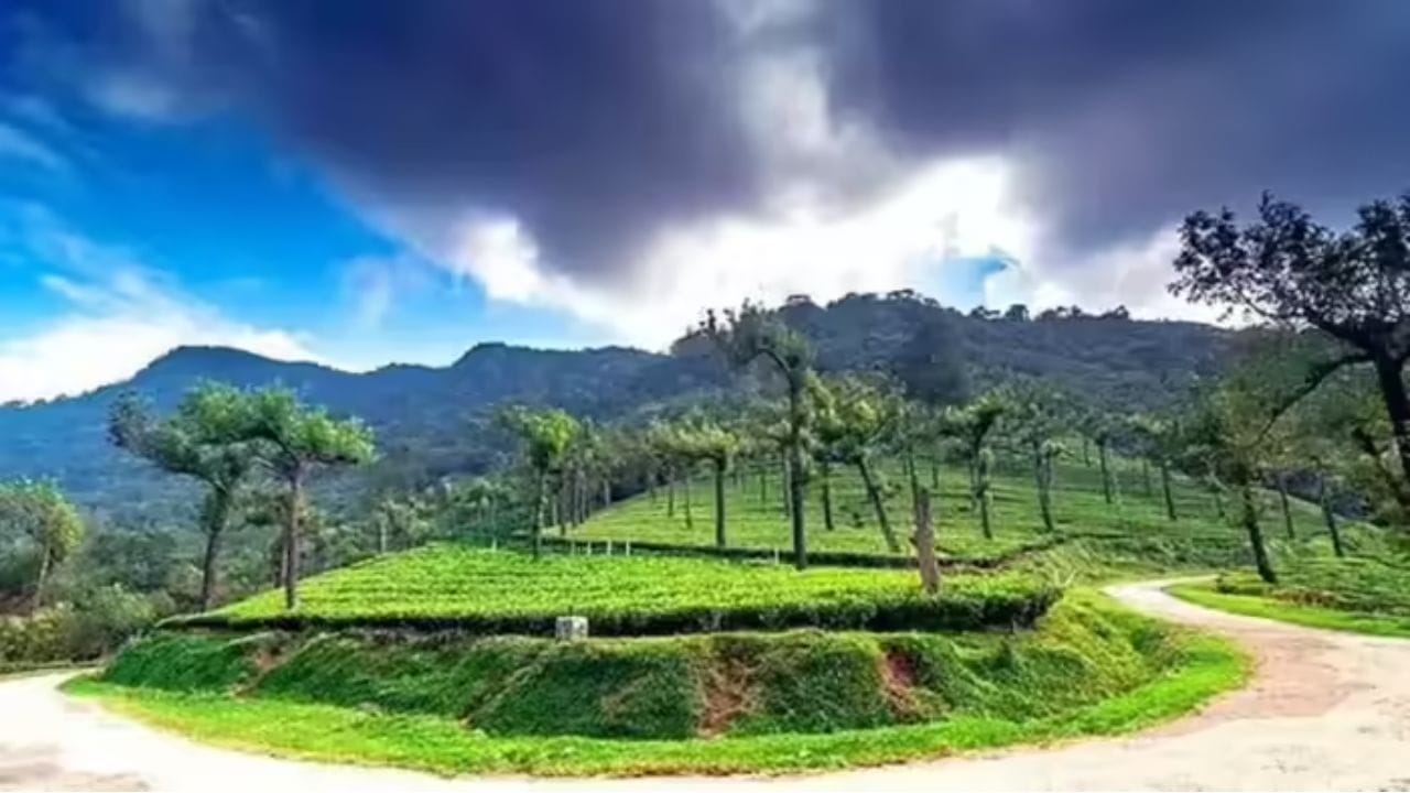 இந்த பகுதியில்  அரிக்கொம்பன் என்ற  யானை  உள்ளிட்ட வனவிலங்குகள்   நடமாட்டம் இருந்தால்  சுற்றுலா பயணிகளுக்கு அனுமதி மறுக்கப்படும். திருநெல்வேலியில் இருந்து 105  கிலோமீட்டர் தொலைவில் அமைந்துள்ள இந்த இடத்துக்கு  பல்வேறு கொண்டை ஊசிகள் கடந்து மணிமுத்தாறு வழியாக செல்ல வேண்டும். குளிர்ச்சியான மலைப்பிரதேசத்துக்கு சுற்றுலா செல்ல வேண்டும் என்றால் இந்தப் பகுதிக்கு செல்லலாம்.