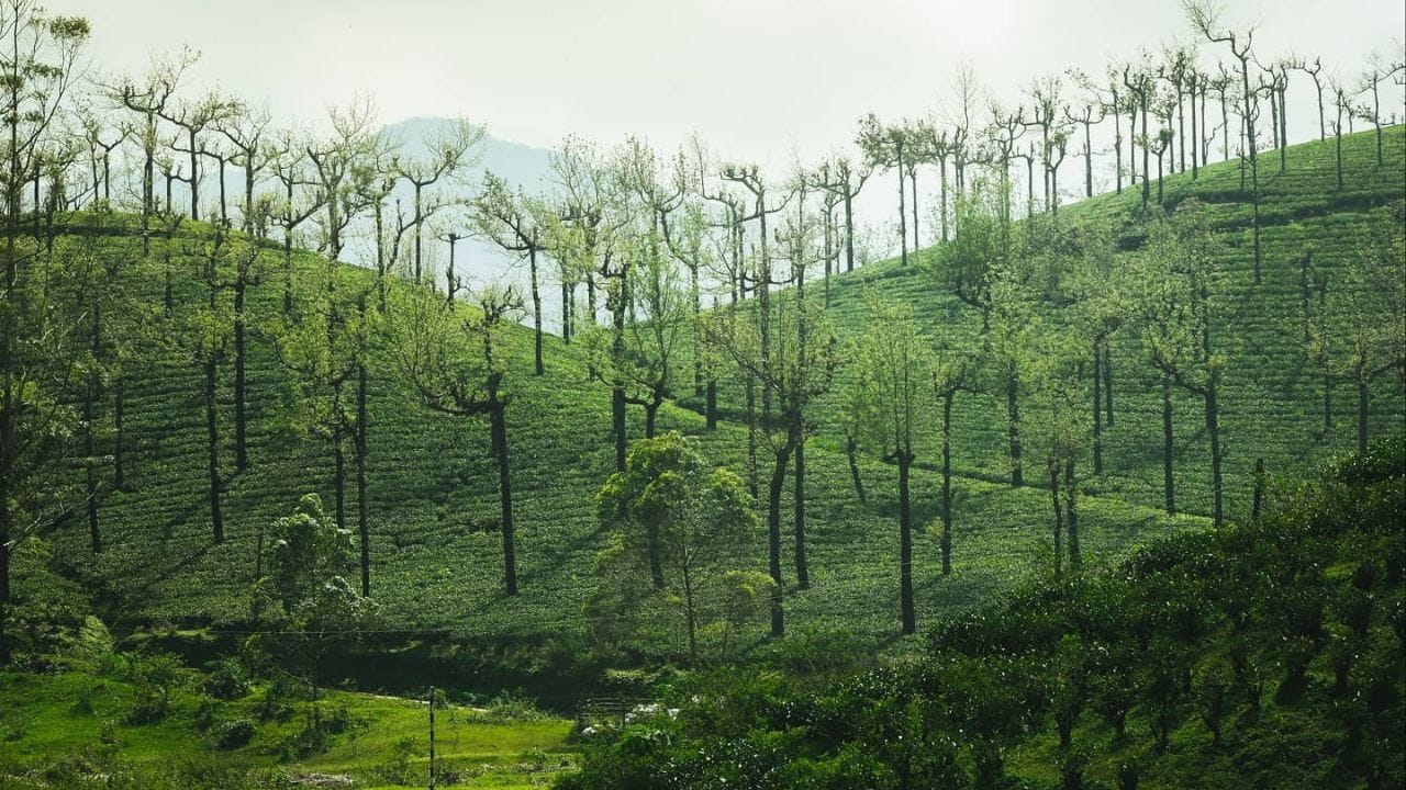 இந்த அனுமதியை பெற்ற பிறகு  மணிமுத்தாறு அணை வழியாக மலைப்பாதையில் பயணித்தால்  மேற்கண்ட இடத்தை சென்றடையலாம். இதற்கு தினந்தோறும் காலை 7:00 மணி முதல் பிற்பகல் 2 மணி வரை மட்டுமே மணிமுத்தாறு சோதனை சாவடி வழியாக வாகனங்கள் செல்ல அனுமதி வழங்கப்படுகின்றன.  இதில்,  ஒரு நாளைக்கு  சுமார் 10  வாகனங்கள் மட்டுமே செல்ல அனுமதிக்கப்படுகிறது.  இதற்கான அனுமதியை  மணிமுத்தாறு சோதனை சாவடி  மற்றும்  அம்பாசமுத்திரம் வன அலுவலகத்தில் பெற்றுக் கொள்ளலாம்.