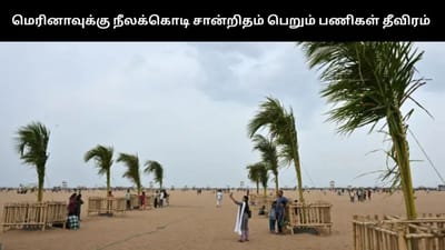 நீலக்கொடி சான்றிதழ் - சென்னை மெரினா கடற்கரையில் பணிகள் தீவிரம்!
