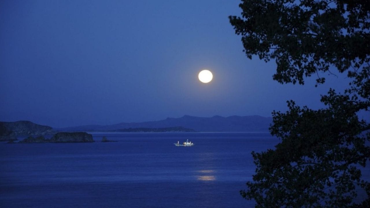 மாசி பௌர்ணமியின் சிறப்புகள்: இந்த நாளில் சந்திரன் தனது முழுப் பொலிவுடன் பூமிக்கு மிக அருகில் தெரிவார். மாசி மாதத்தில் வரும் பௌர்ணமி 'கடலாடும் நாள்' என்றும் அழைக்கப்படுகிறது. இந்நாளில் நீர்நிலைகளில் நீராடுவது அஸ்வமேத யாகம் செய்த புண்ணியத்தைத் தரும் என்பது ஐதீகம். தடைப்பட்ட காரியங்கள் துவங்கவும், குடும்பப் பகைகள் மறையவும் குலதெய்வத்திற்கு மாவிளக்கு போட்டு வழிபடுவது இந்நாளில் மிக விசேஷம். திருவண்ணாமலை போன்ற திருத்தலங்களில் கிரிவலம் செல்வதற்கு மார்ச் 1-ஆம் தேதி மாலை நேரம் மிகவும் உகந்தது.