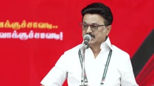 ‘போடு தோப்புக்கரணம் என்று சொன்னால்…’ இபிஎஸ் குறித்து முதல்வர் கடும் விமர்சனம் ‘போடு தோப்புக்கரணம் என்று சொன்னால்…’ இபிஎஸ் குறித்து முதல்வர் கடும் விமர்சனம்