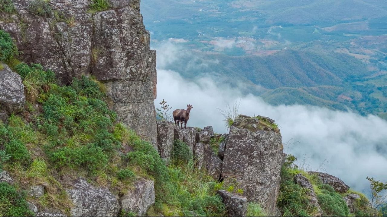 அடர்ந்த காடுகளுக்கு நடுவேயும், மலைகளுக்கு நடுவேயும் ஊர்ந்து செல்லும் இந்த மலை ரயிலில் பயணிக்கும் போது மனம் அவ்வளவு லேசாக மாறிவிடும். இதன் பின்னர், நீலகிரி மாவட்டத்தில் வானில் இருந்து கொட்டும் நீர்வீழ்ச்சியை பார்ப்பதற்கு இரு கண்கள் போதாது என்ற தத்துவத்திற்கு ஏற்ப அதன் அழகு நம்மை கொள்ளை கொள்ள செய்யும். அதிலும், தங்கத்தைப் போல விலை மதிப்பற்றதாக மாறிவரும் வெள்ளியை உருக்கி விட்டது போல, ஆகாயத்திலிருந்து கொட்டும் நீர்வீழ்ச்சியே பார்ப்பதற்கு அலாதி இன்பமாக இருக்கும்.