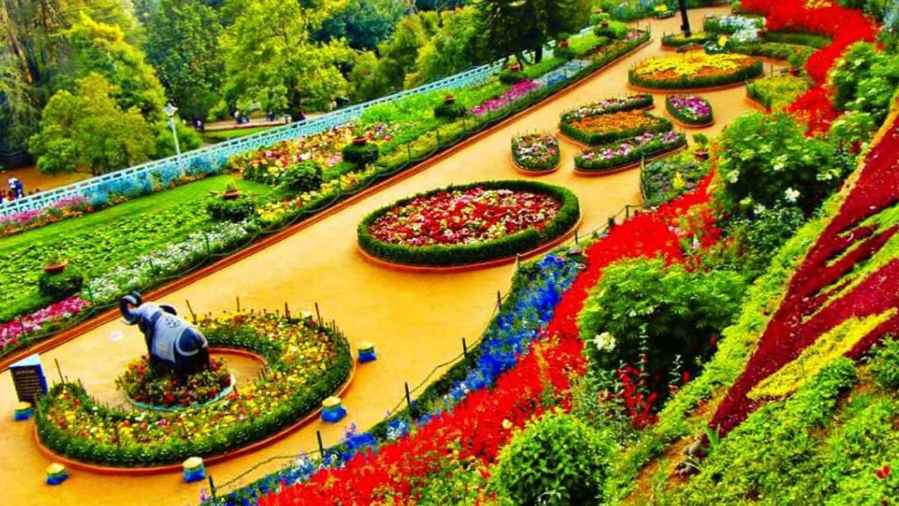 சில சுற்றுலா பயணிகளுக்கு திரில்லிங்கான மலை ஏற்றத்துக்கும் நீலகிரி மாவட்டம் சளைத்தது அல்ல. இங்கு நடைபெறும் மலை ஏற்றம் சுற்றுலா பயணிகள் மத்தியில் மிகுந்த வரவேற்பு உள்ளது. இதேபோல, நீலகிரி மாவட்டத்தில் உள்ள தாவரவியல் பூங்கா, ரோஜா பூங்கா ஆகியவற்றில் படர்ந்து வளர்ந்து இருக்கும் பல்வேறு வகையான செடிகள், அதில் பூத்திருக்கும் பூக்கள் அனைத்தும் மனதை கொள்ளை போகச் செய்யும்.  இதே போல, இங்கு தொட்டபெட்டா சிகரம், பைக்காரா நீர்வீழ்ச்சி, குன்னூர் சிம்ஸ் பூங்கா, அவலாஞ்சி ஏரி, தேயிலை அருங்காட்சியகம், கோத்தகிரி உள்ளிட்ட பொழுது போக்கும் இடங்கள் ஏராளமாக உள்ளன.