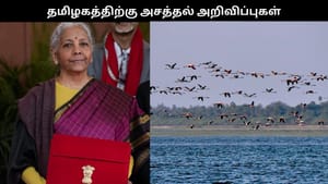 பொதிகை மலையில் மலையேற்றம், பழவேற்காட்டில் காட்சி மையம்.. தமிழகத்திற்கு பட்ஜெட்டில் அசத்தல் அறிவிப்புகள்!! பொதிகை மலையில் மலையேற்றம், பழவேற்காட்டில் காட்சி மையம்.. தமிழகத்திற்கு பட்ஜெட்டில் அசத்தல் அறிவிப்புகள்!!