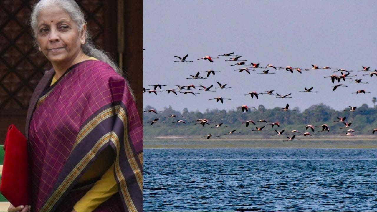 பறவைகளை காணும் சுற்றுலா திட்டம்: தமிழ்நாட்டின் பழவேற்காட்டு ஏரியில் உலகத்தரத்தில் பறவைகளை காண்பதற்கான பிரத்யேக காட்சி மையம் அமைக்கப்படும். அந்தவகையில், அங்கு பறவகைளை கண்காணிக்க 3 கோபுரங்கள் அமைக்கப்படும் என்று அறிவித்துள்ளார்.