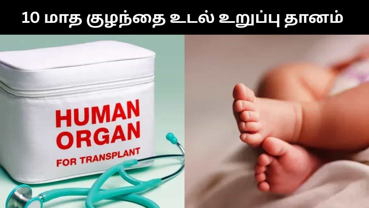 உடல் உறுப்பு தானம் மூலம் 5 பேருக்கு வாழ்க்கை கொடுத்த 10 மாத குழந்தை.. கேரளாவில் மனதை உலுக்கும் சம்பவம்! உடல் உறுப்பு தானம் மூலம் 5 பேருக்கு வாழ்க்கை கொடுத்த 10 மாத குழந்தை.. கேரளாவில் மனதை உலுக்கும் சம்பவம்!