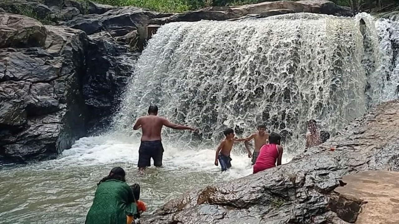 இந்த பகுதி முழுவதும் பச்சை வண்ண போர்வையை போர்த்தியது போல செடி கொடிகள் நிறைந்து காணப்படுகிறது. மேலும், 154- க்கும் மேற்பட்ட பறவை இனங்கள் அந்த பகுதியில் வசித்து வருவதால், காதுகளில் தேன் வந்து பாயும் அளவுக்கு பறவைகளின் கூக்குரல் ஓசைகள் கேட்டுக் கொண்டே இருக்கும். இது மட்டுமின்றி, அந்தப் பகுதியில் உள்ள கோரையாறு, மங்களம் அருவி, மயில் ஊற்று ஆகிய நீர்வீழ்ச்சிகள் உள்ளன. இதில், அண்ணாந்து பார்க்கும் அளவுக்கு ஆகாயத்தில் இருந்து நீர் கொட்டும்.