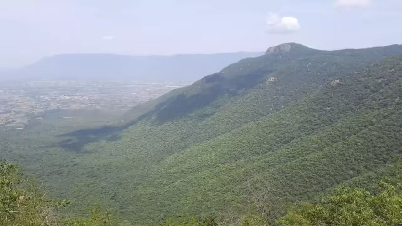 தமிழகத்தில் பல்வேறு இடங்களில் ஹைடன் சுற்றுலாத்தளங்கள் இருந்து வருகிறது. இந்த சுற்றுலாத்தளங்கள் பிரபலமான சுற்றுலா தளங்களுக்கு டஃப் கொடுக்கும் வகையில் இருக்கும். அந்த வகையில், கடந்த சில மாதங்களுக்கு முன்பு விருதுநகர் மாவட்டத்தில் உள்ள கூமாபட்டி என்ற கிராமத்தில் ஏரி சார்ந்த பகுதி மினி ஐஸ்லாண்டுக்கு ஈடாக இருப்பதாக அந்த கிராமத்தை சேர்ந்த இளைஞர் தங்கபாண்டியன் என்பவர் சமூக வலைதளங்களில் வீடியோவை வெளியிட்டிருந்தார்.