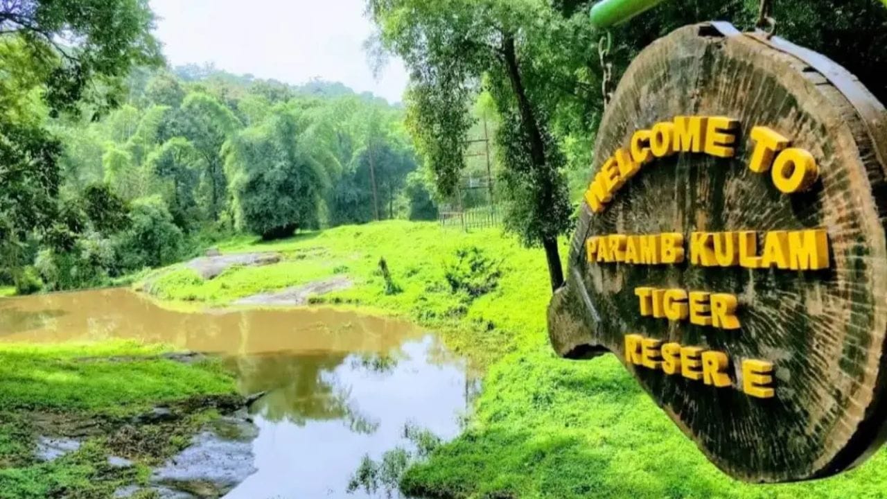 கோயம்புத்தூர் மாவட்டம்,  பொள்ளாச்சி அருகே  ஆனைமலை  புலிகள் காப்பகத்தில் அமைந்துள்ளது டாப்சிலிப்  சுற்றுலா தலம்.  இங்கு,  பசுமை  போர்த்திய மலைகள்,  படர்ந்து விரிந்த  அடர்ந்த காடுகள்,  அந்த காட்டினுள்  சுற்றித் திரியும்  யானைகள்,  கீச் கீச் என  சத்தமிடும் பறவைகள்  உள்ளிட்டவை நிறைந்த  ரம்யமான சுற்றுலா தலமாக விளங்கி வருகிறது. இங்கு வரும் சுற்றுலா பயணிகள்  திரில்லிங் பயணத்துக்காக  ஜங்கிள் சவாரி ட்ரக்கிங்  செல்லலாம். மேலும்,  அந்த பகுதியில்  வளர்க்கப்படும்  யானைகள் முகாமுக்கு சென்று  அவற்றுக்கு உணவளித்து மகிழலாம்.