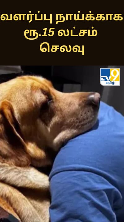 ரூ.15 லட்சம் செலவுசெய்து வளரப்பு நாயை ஆஸ்திரேலியா கொண்டு சென்ற இந்திய தம்பதி