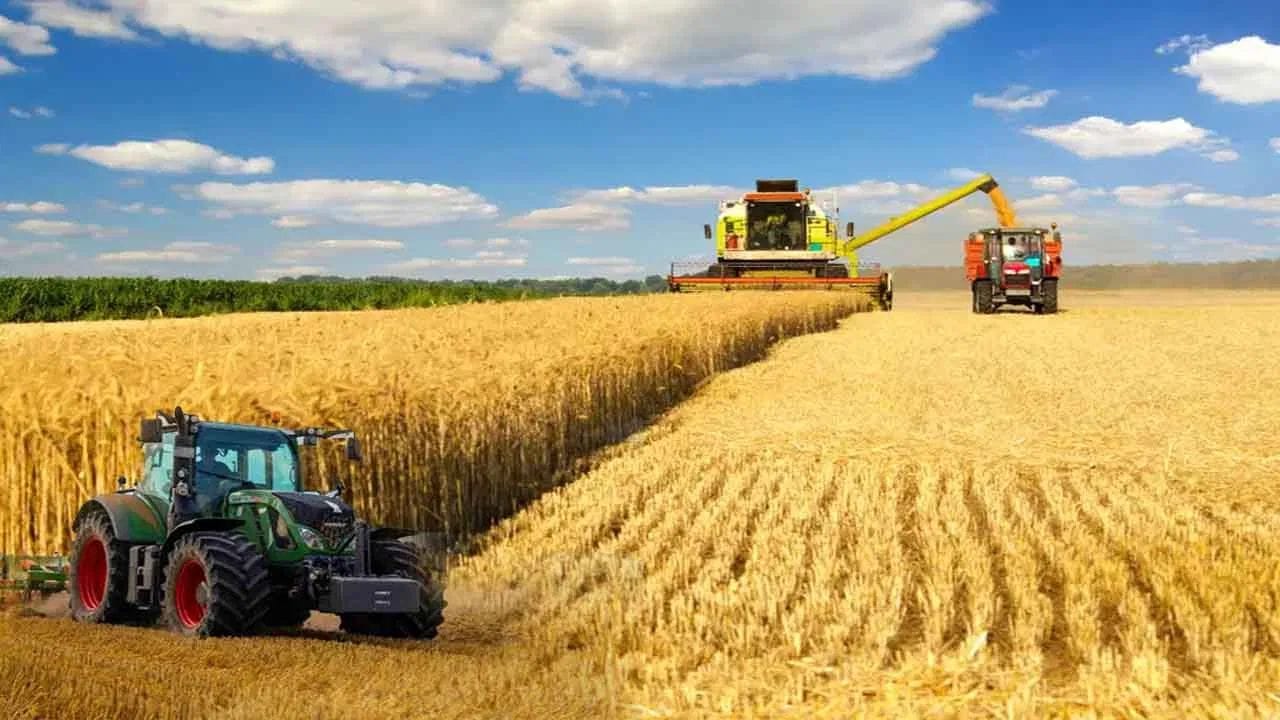 இதன் காரணமாக 22வது தவணையை மிகுந்த ஆவலுடன் விவசாயிகள் எதிர்பார்த்து காத்திருக்கின்றனர். ஆனால், விவசாயிகள் தங்களது 22வது தவணை பணத்தை பெறுவதற்கு கேஒய்சி மேற்கொள்ள வேண்டியது கட்டாயமாக உள்ளது. ஒருவேளை கேஒய்சி மேற்கொள்ளவில்லை என்றால் 22வது தவணை பணம் வழங்கப்படாது என்பது குறிப்பிடத்தக்கது.