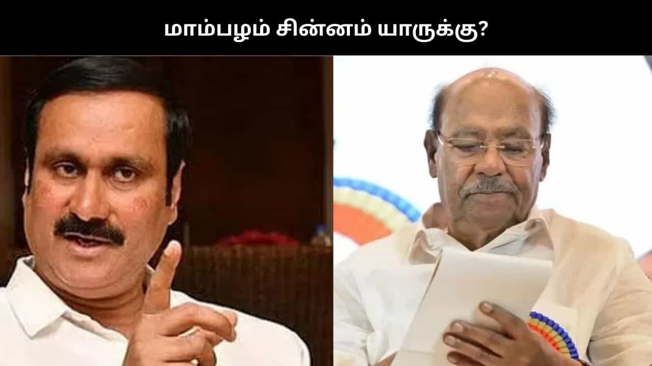 மாம்பழம் சின்னம் யாருக்கு? தேர்தல் ஆணையம் பதிலளிக்க நீதிமன்றம் உத்தரவு மாம்பழம் சின்னம் யாருக்கு? தேர்தல் ஆணையம் பதிலளிக்க நீதிமன்றம் உத்தரவு