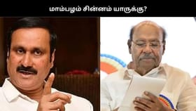 மாம்பழம் சின்னம் யாருக்கு? தேர்தல் ஆணையம் பதிலளிக்க நீதிமன்றம் உத்தரவு...