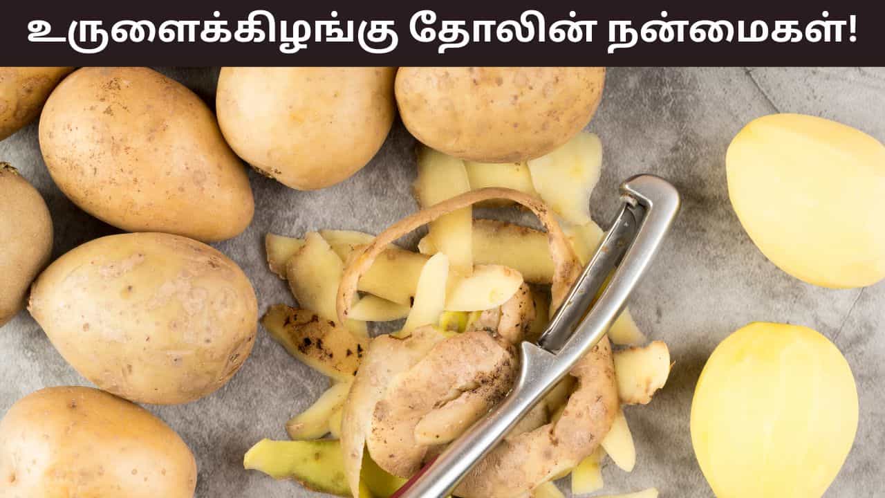 Health Tips: ஊட்டச்சத்து புதையலாக உருளைக்கிழங்கு தோல்கள்.. 4 அற்புதமான நன்மைகள் இதோ!