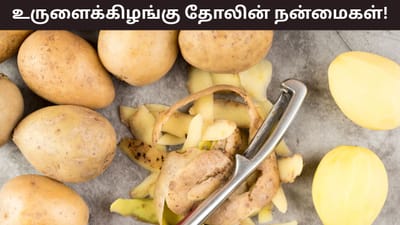 ஊட்டச்சத்து புதையலாக உருளை தோல்கள்.. 4 அற்புத நன்மைகள் இதோ!