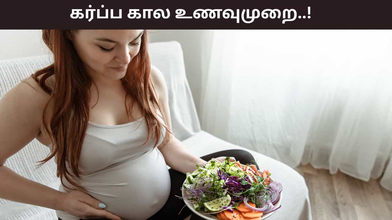 Pregnancy Health: கர்ப்ப காலத்தில் உணவு முறை எப்படி இருக்க வேண்டும்..? எதை கவனிக்க வேண்டும்?
