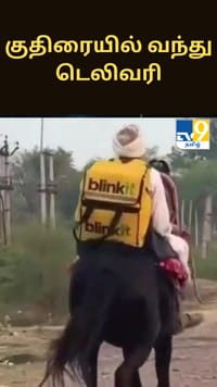 குதிரை மேல் வந்து டெலிவரி செய்த ப்ளிங்கிட் ஏஜெண்ட்.. இணையத்தில் வைரல் காட்சிகள்.....