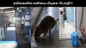 ரயில்களில் அட்டகாசம் செய்யும் எலிகள்.. ‘பொறி’ வைத்து பிடிக்க தெற்கு ரயில்வே நடவடிக்கை..