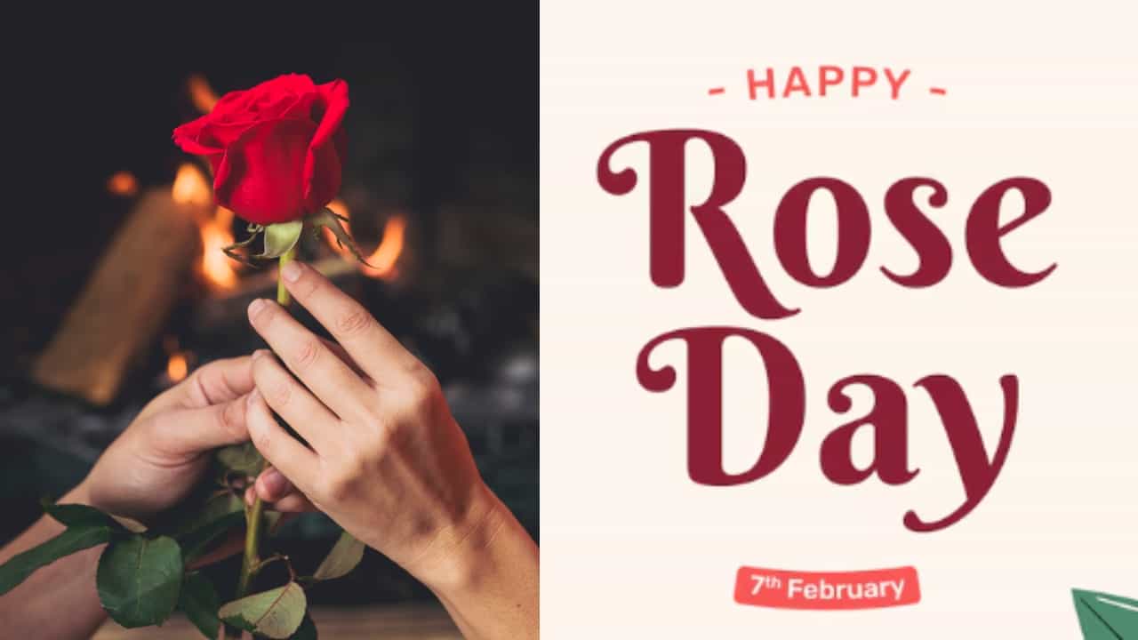 Rose Day History: காதலர் வாரம் ஏன் ரோஜா தினத்துடன் தொடங்குகிறது..? அதன் வரலாறும், முக்கியத்துவமும்..!