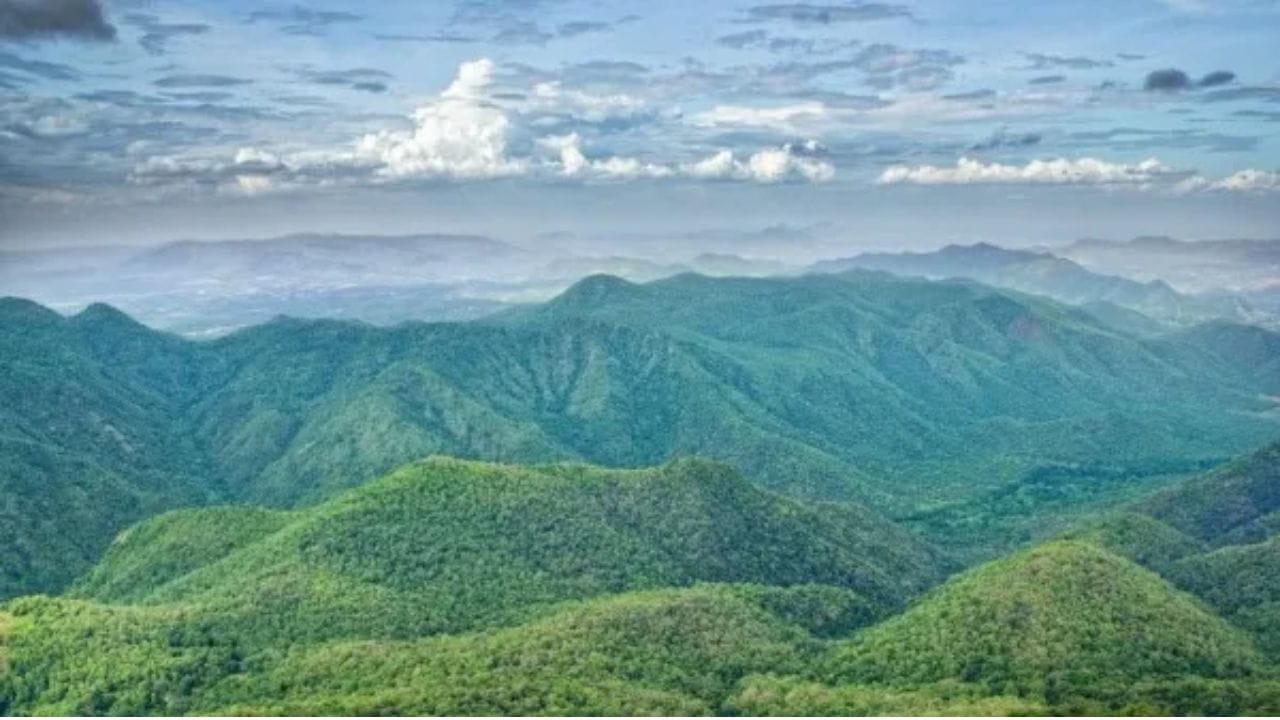 தமிழகத்தில்  ஊட்டி மற்றும் கொடைக்கானல்  ஆகிய சுற்றுலாத் தலங்களுக்கு இணையாகவும்,  சுற்றுலா பயணிகளுக்கு பெரிதளவில்  தெரியாமலும் பல்வேறு சுற்றுலா தலங்கள் மறைந்துள்ளன.  அந்த வகையில்,  திண்டுக்கல் மாவட்டத்தில்  அமைந்துள்ள சிறுமலை முக்கிய பங்கு வகிக்கிறது.  இந்த சிறுமலையானது  மிதமான தட்பவெப்ப நிலை மற்றும் இயற்கை அழகு நிறைந்த ஒரு சிறந்த  மலை பிரதேசமாக விளங்கி வருகிறது.  இங்கு,  கொடைக்கானல் மற்றும்  ஊட்டி போல அதிக அளவு  குளிரும் இல்லாமல்,  சமவெளி பகுதிகளை போல அதிக வெப்பமும் இல்லாமல்  ஆண்டு முழுவதும் சமநிலையான  சூழல் நிலவி வருகிறது.