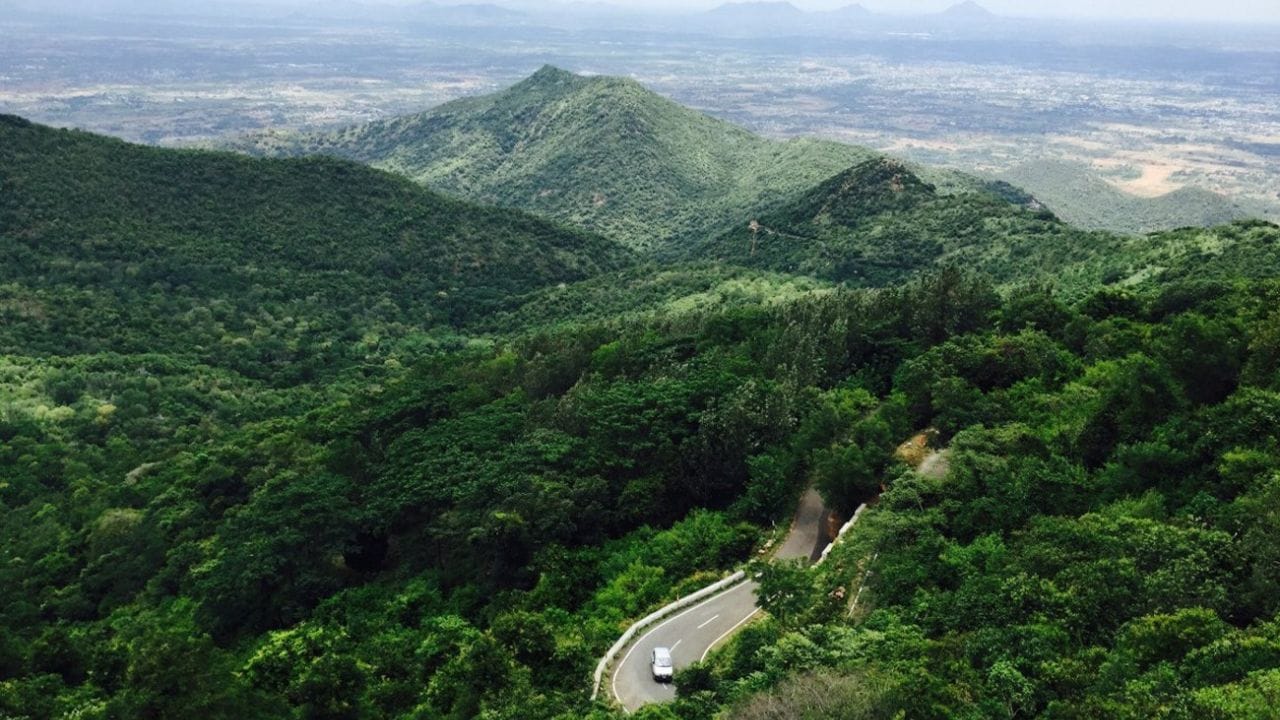 அங்கு உள்ள அப்சர்வேஷன் டவரில் ஏறி நின்றால், சிறுமலையின் மொத்த அழகையும் காண்பதற்கு நமது இரு கண்கள் போதாது என்றே கூறலாம். இவ்வாறு பல்வேறு இடங்களை சுற்றிப் பார்த்துவிட்டு உச்சி முதல் பாதம் வரை குளிரும் வகையில் குட்லாடம்பட்டி அருவி, வேலமலை அருவி, சிறுமலை அருவி ஆகியவற்றின் உற்சாகமாக குளித்து குத்தாட்டம் போடலாம். மேலும், செல்வி கோயில் கிளீவ்லேண்ட் வியூ பாயிண்டில் இருந்து கொண்டு, சுற்றுப்பகுதியில் மொத்த அழகையும் மனம் கொள்ளை போகும் வரை கண்டு ரசிக்கலாம்.