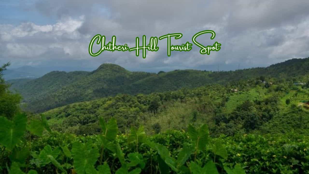 சிலிர்ப்பூட்டும் சுற்றுலா தலம்.. பசுமை போர்த்திய பகுதிகள்.. தர்மபுரியில் இருந்து 2 மணி நேரம் தான்! சிலிர்ப்பூட்டும் சுற்றுலா தலம்.. பசுமை போர்த்திய பகுதிகள்.. தர்மபுரியில் இருந்து 2 மணி நேரம் தான்!