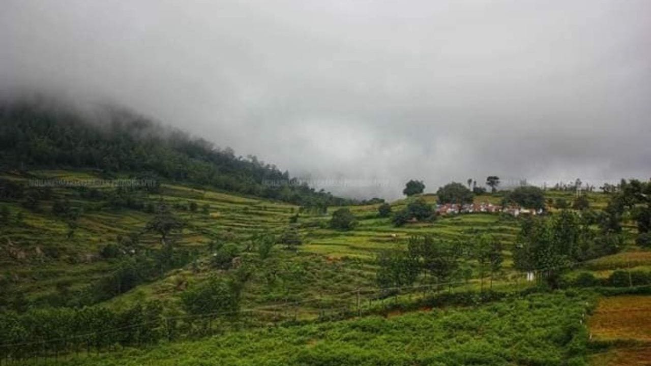 தமிழகத்தில்  கொஞ்சம் கொஞ்சமாக  வெயிலின் தாக்கம் அதிகரித்து வருகிறது.  இதனால்,  சூரிய வெப்பத்திலிருந்து தற்காத்துக் கொள்வதற்காக  குளிர்ச்சியான இடங்களை  தேடி மக்கள்  படையெடுத்து  செல்ல  உள்ளனர்.  அவ்வாறு  செல்லக்கூடிய இடங்களில்  முதலில் ஞாபகத்துக்கு வருவது  கொடைக்கானல் அல்லது ஊட்டி ஆகும்.  ஆனால்,  தமிழகத்தில்  பெரிதளவில்  நமது  கவனத்திற்கு எட்டாத வகையில் பல்வேறு குளிர்ச்சியான சுற்றுலா தலங்கள்  உள்ளன.  இதில்,  ஈரோடு மாவட்டம்  அந்தியூர் அருகே உள்ள  பர்கூர்  மலைப்பகுதியில்  ரம்மியமான  இடமாக  அமைந்துள்ளது  தாமரை கரை  மலைப்பகுதி.