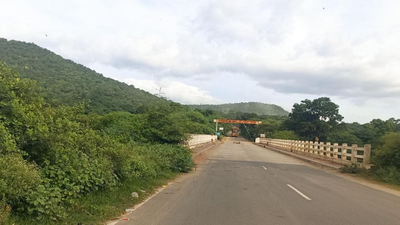 இந்த பகுதி, எப்போதும் குளிர்ச்சியான சீதோஷ்ண நிலையில் இருப்பதால் குளிர்ந்த வானிலைக்கு பெயர் பெற்றதாகும். மேலும், இந்த பகுதியில் காட்டு யானைகள் மட்டும் இன்றி மான்கள், கரடிகள், செந்நாய்கள் உள்ளிட்ட காட்டு விலங்குகள் காணப்படும். இதனால், இந்த பகுதியை கடந்து செல்லும்போது அடி வயிற்றில் ஒருவித அச்ச உணர்வு நம்மைப் பற்றிக் கொள்ளும். இது மகிழ்ச்சி கலந்த திரில்லிங்கான பயணத்தை நமக்கு கொடுக்கும் என்பதில் சிறிதளவும் ஐயமில்லை. இந்த மலையில் ட்ரெக்கிங் செல்ல விரும்பினால் ட்ரக்கிங் செல்லலாம்.