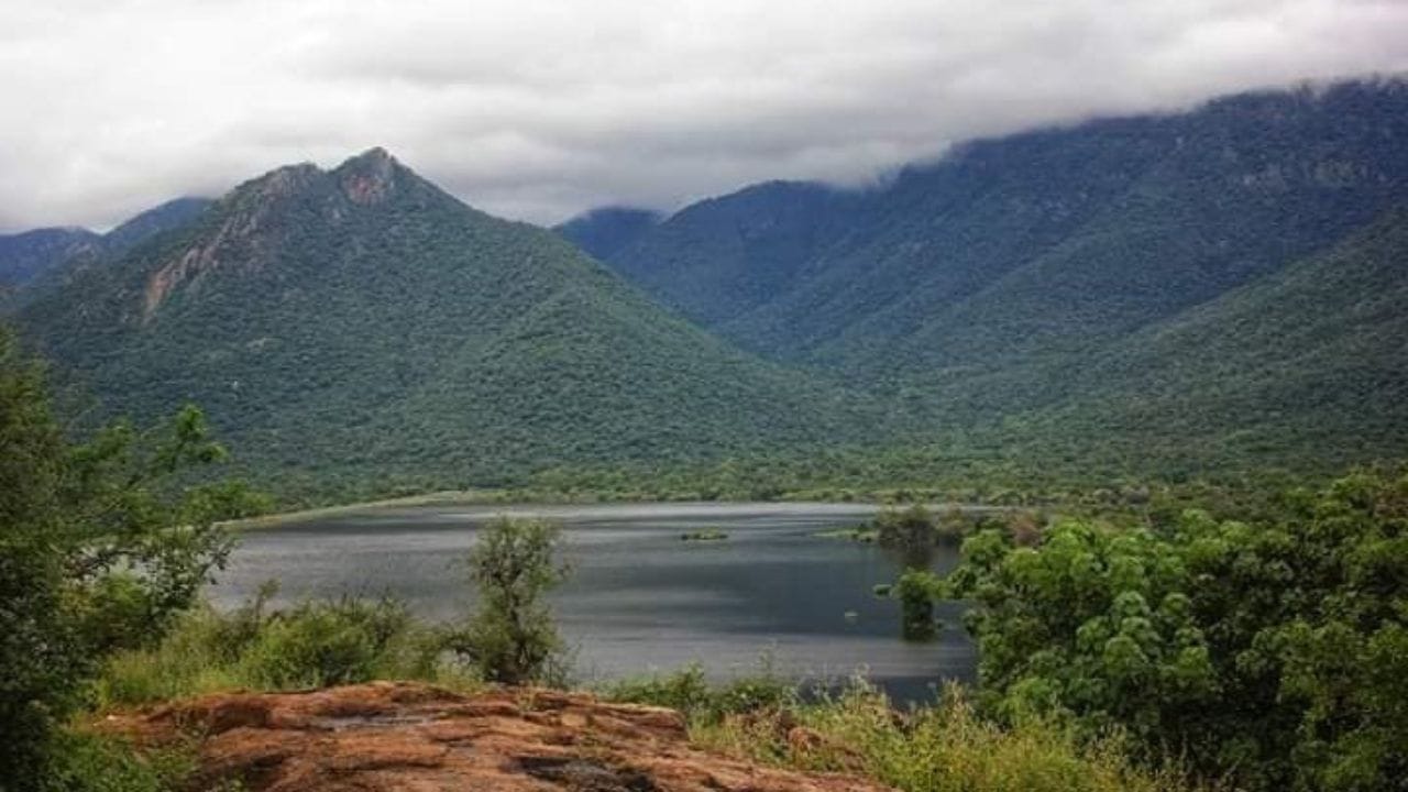 இந்த மலைக்கு பல்வேறு கொண்டை ஊசி வளைவுகளை தாண்டி செல்ல வேண்டும். அவ்வாறு செல்லும் வகையில் இருபுறமும் மலை சிகரங்கள் அதிகமாக காணப்படும். இதனை ரசித்துக் கொண்டே மலையின் உச்சியை அடையலாம். இதில், குறிப்பாக பைக்கில் சுற்றுலா செல்லும் சுற்றுலா பயணிகள் தங்களது சுற்றுலா பட்டியலில் தாமரை கரை மலைக்கு முக்கியத்துவம் அளிக்கலாம். ஏனென்றால், பைக் ரைடுக்கு தாமரைக்கரை மலை ஏற்ற இடமாகும். மேலும், செல்லும் வழியில் ஏராளமான மரங்கள் அடர்ந்து காடுகள் போல காட்சியளிப்பதாலும், அதன் உள்ளே காட்டு யானைகள் நடமாடுவதாலும் ஒரு திரில்லிங்கான பயணத்தை நமக்குத் தரும்.