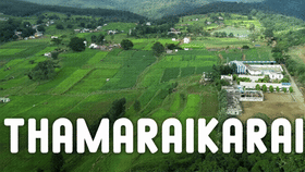 கொண்டை ஊசி வளைவுகள்.. குறுக்கிடும் வனவிலங்குகள்.. த்ரில்லிங்கான சுற்றுலா அனுபவம்… இந்த இடத்தை மிஸ் பண்ணிடாதீங்க!...