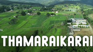 கொண்டை ஊசி வளைவுகள்.. குறுக்கிடும் வனவிலங்குகள்.. த்ரில்லிங்கான சுற்றுலா அனுபவம்… இந்த இடத்தை மிஸ் பண்ணிடாதீங்க! கொண்டை ஊசி வளைவுகள்.. குறுக்கிடும் வனவிலங்குகள்.. த்ரில்லிங்கான சுற்றுலா அனுபவம்… இந்த இடத்தை மிஸ் பண்ணிடாதீங்க!