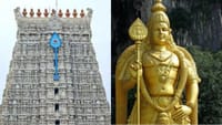 முருகன் கோயில்களில் தைப்பூச திருவிழா சிறப்பு வழிபாடு!...