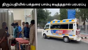 திருப்பதி ஏழுமலையான் கோயிலில் பெண் பக்தரை பாம்பு கடித்ததால் பரபரப்பு!