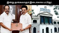 இன்று தாக்கலாகிறது இடைக்கால பட்ஜெட்.....
