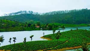 “கீச் கீச்” என சத்தமிடும் காட்டு பறவைகள்.. திகிலூட்டும் ஜங்கில் சவாரி.. டாப்பான டாப்சிலிப்.. ஒரு முறை போயி பாருங்க!