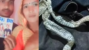 பாம்பாக மாறிய பெண்… பரவிய வதந்தி.. இன்ஸ்டா வீடியோ மூலம் வெளியான காதல் கதை..