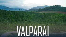 வால்பாறைக்கு சுற்றுலா செல்லலாமா… தற்போதைய காலநிலை எப்படி உள்ளது!...