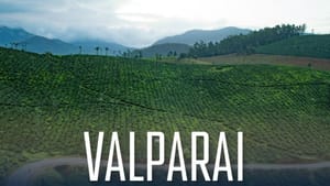 வால்பாறைக்கு சுற்றுலா செல்லலாமா… தற்போதைய காலநிலை எப்படி உள்ளது!