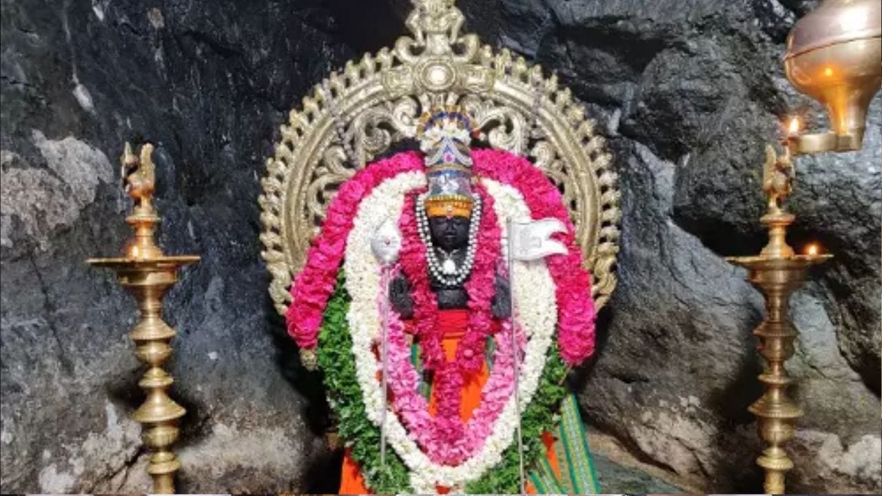 பூமி தேவி மற்றும் வராஹ மூர்த்தி வழிபாடு: பூமிக்கு அதிபதியாகத் திகழ்பவர் பூமி தேவி. அவரை வழிபட வேண்டியது மிக அவசியம். நிலம் தொடர்பான பிரச்சனைகள் நீங்கவும், புதிய நிலம் வாங்கவும் மகாவிஷ்ணுவின் அவதாரமான வராஹ மூர்த்தியை வணங்க வேண்டும். இரணியாட்சன் பூமியைப் பாதாளத்தில் ஒளித்து வைத்தபோது, வராஹ அவதாரம் எடுத்து பூமியை மீட்டவர் அவர். எனவே, வராஹ மூர்த்தி வீற்றிருக்கும் கோவில்களுக்குச் சென்று வழிபடுவது நிலம் மற்றும் வீடு தொடர்பான தடைகளை நீக்கும்.