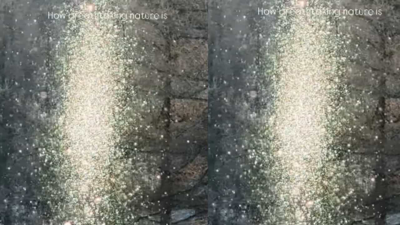 Viral Video : சன் கேண்டில்.. சூரிய ஒளியில் மின்னிய பனி துகல்கள்.. ஆச்சர்யத்தை ஏற்படுத்திய வீடியோ!