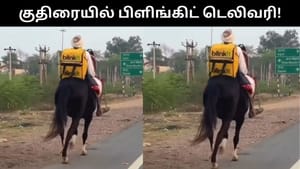 Viral Video : குதிரையில் பிளிங்கிட் டெலிவரி செய்யும் முதியவர்.. இணையத்தில் வைரலாகும் வீடியோ!