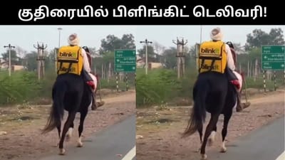 குதிரையில் பிளிங்கிட் டெலிவரி செய்யும் முதியவர் - வைரல் வீடியோ!
