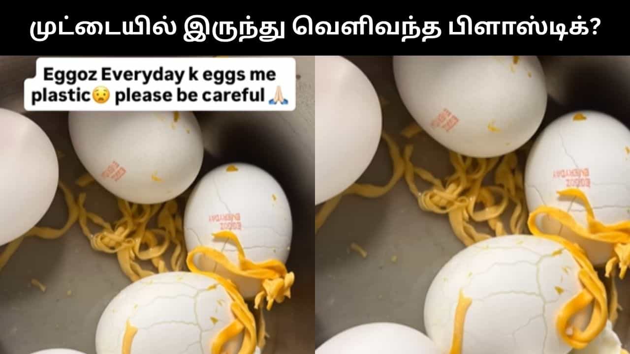 Viral Video : முட்டையில் இருந்து வெளியே வந்த பிளாஸ்டிக்.. இளம் பெண் வெளியிட்ட ஷாக் வீடியோ!
